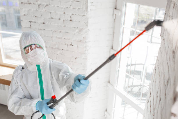 Best Airborne Mold Testing  in Parksdale, CA