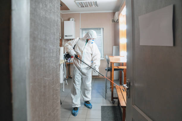 Best Mold Odor Removal Services  in Parksdale, CA