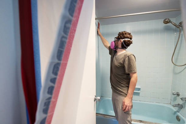 Best Water Damage & Mold Remediation  in Parksdale, CA