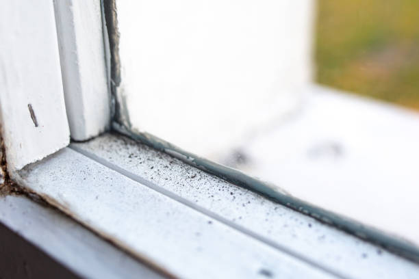Best Air Quality Testing for Mold Spores  in Parksdale, CA