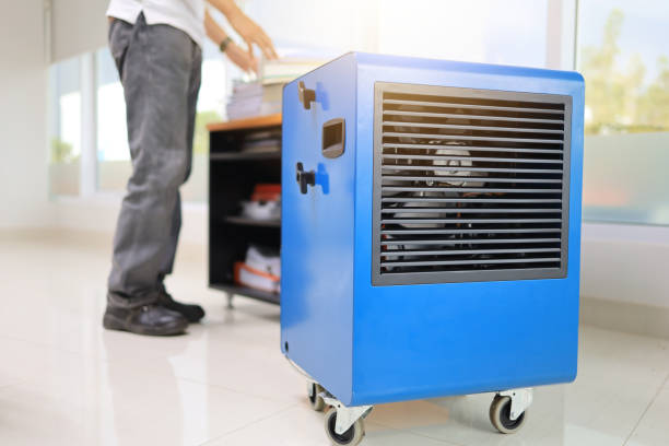 Best Asbestos and Lead Testing During Mold Inspection  in Parksdale, CA