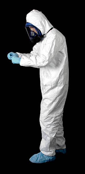 Best Black Mold Removal  in Parksdale, CA