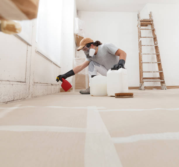 Best Mold Documentation for Insurance Claims  in Parksdale, CA