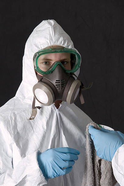 Mold Odor Removal Services in Parksdale, CA